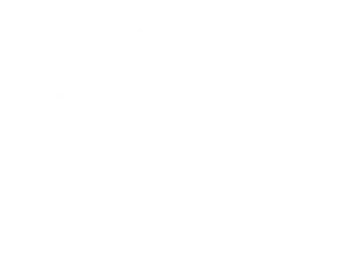 B2C brand logo from BEST. social media marketing client portfolio